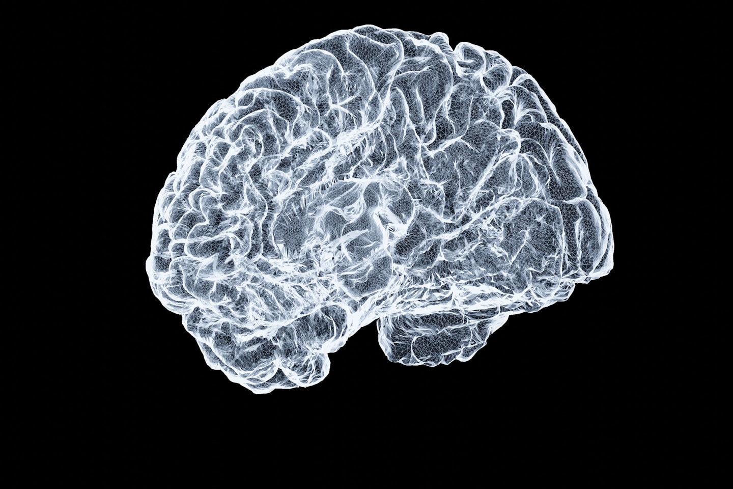 a close up of a human brain on a black background