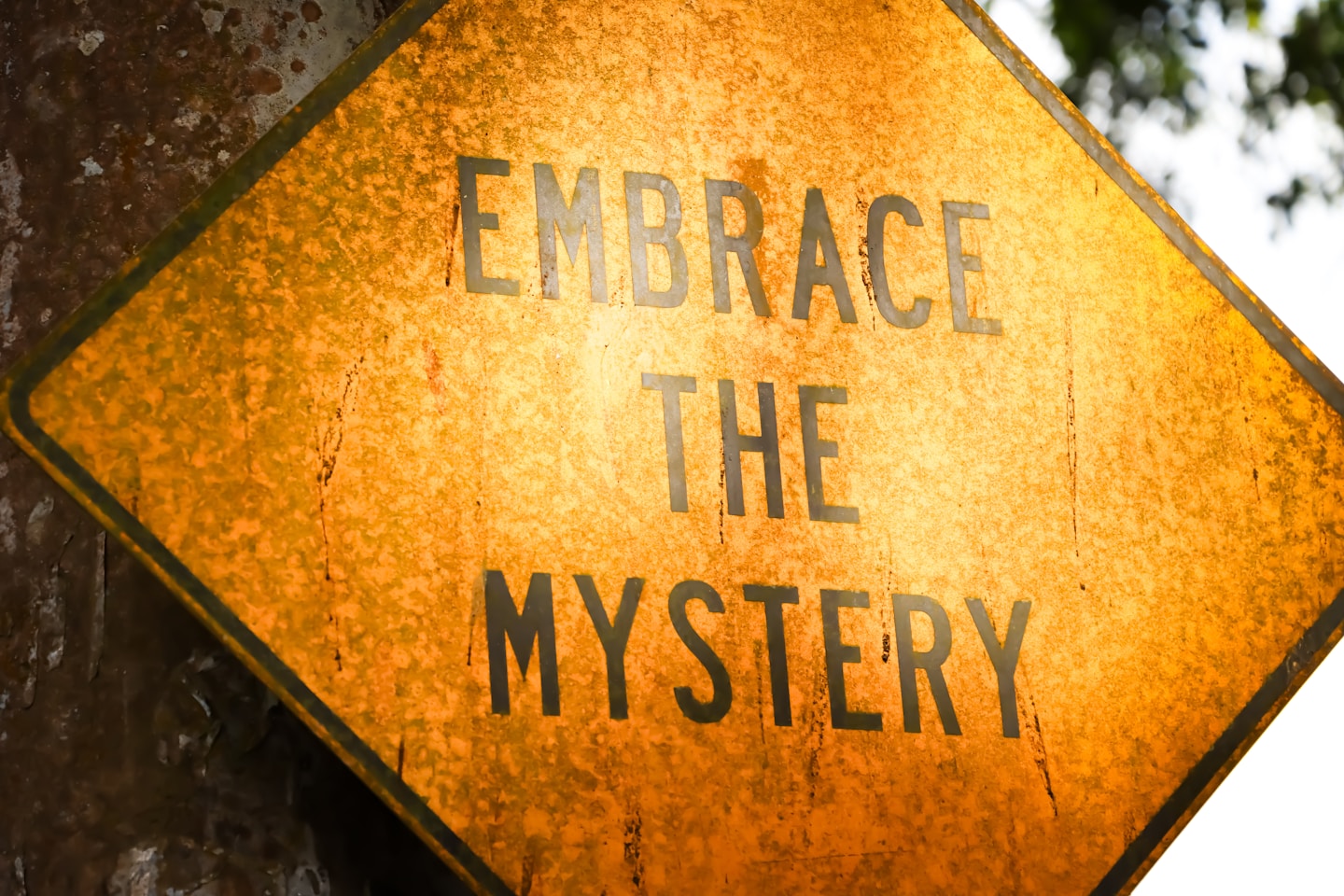 Looking for a sign in Ubud, Bali.
