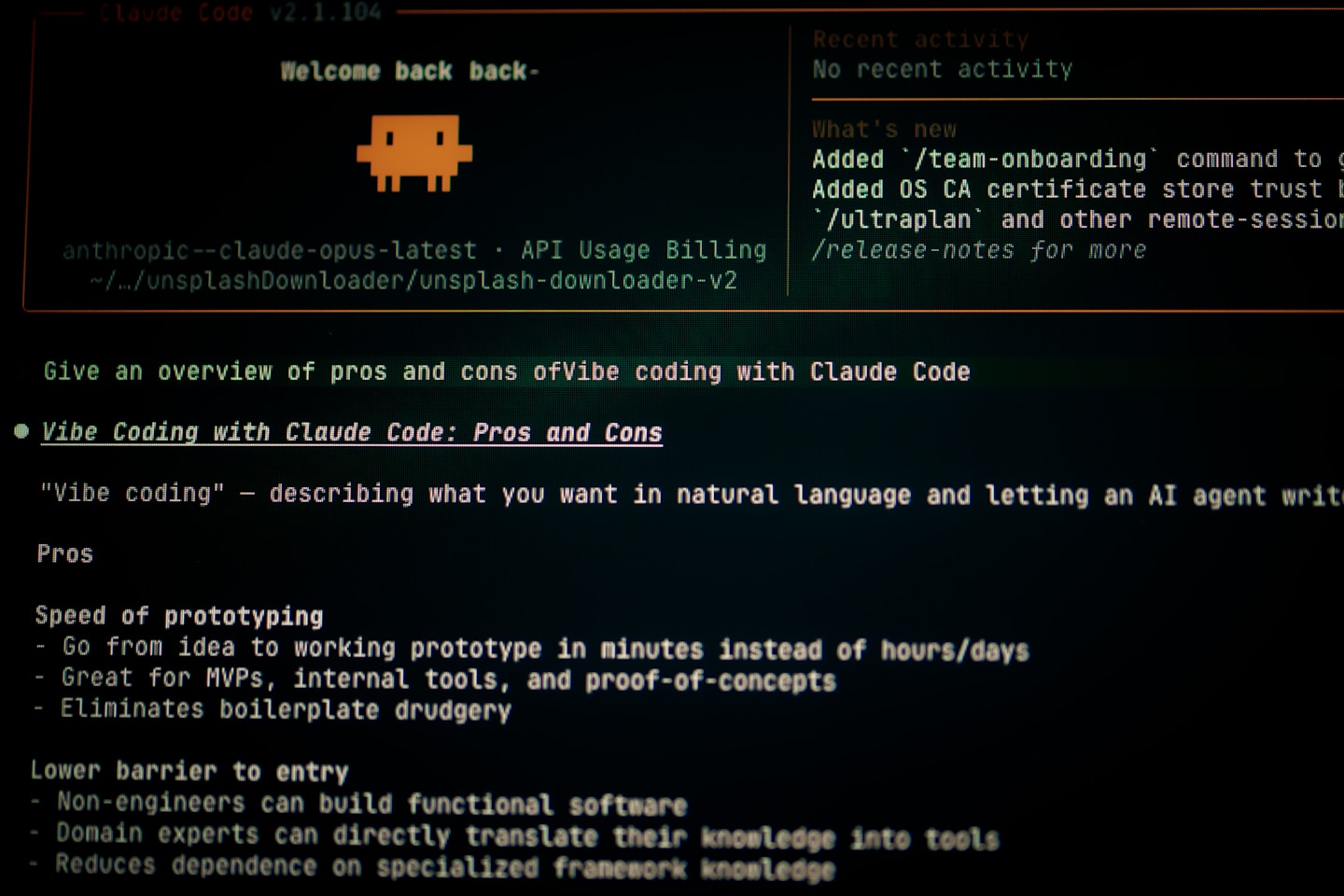 Computer screen displaying code and text